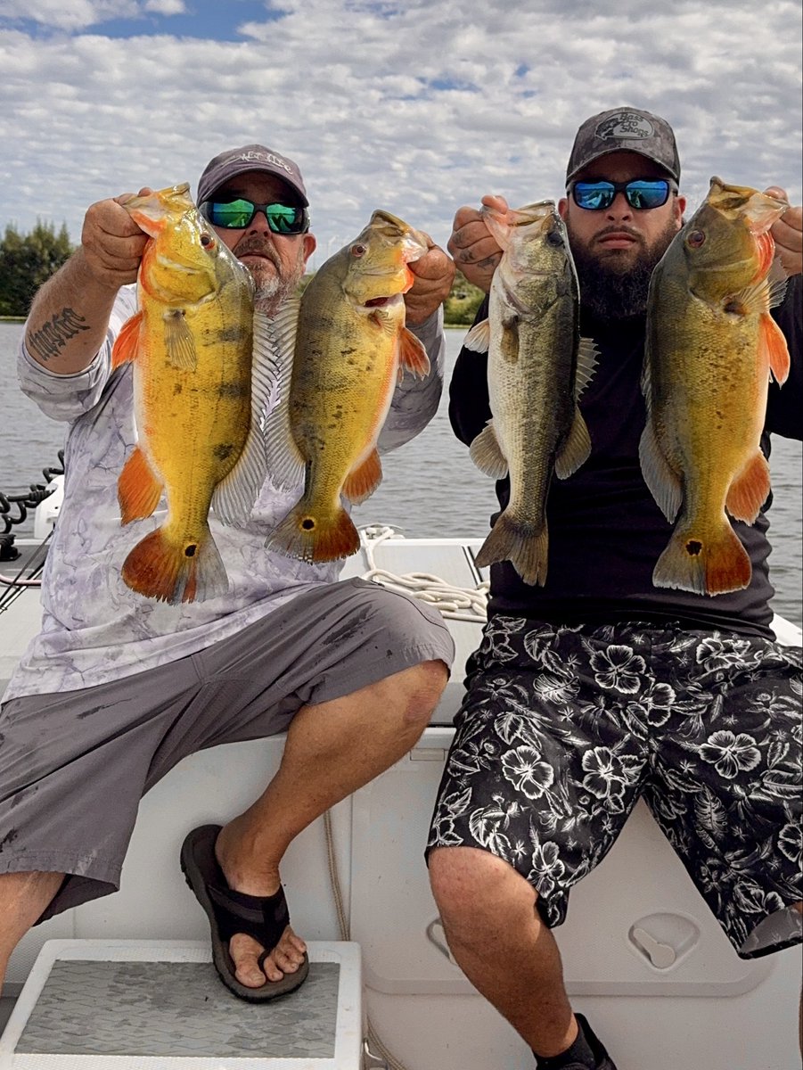 Native Son tweet media