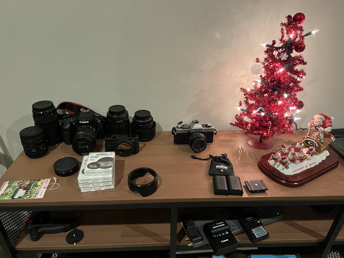 The dog and I didn’t ask for this, but it’s everywhere 🎄

Someone tell my wife it’s Nov 2nd! What happened to Thanksgiving season 🙃🤷‍♂️