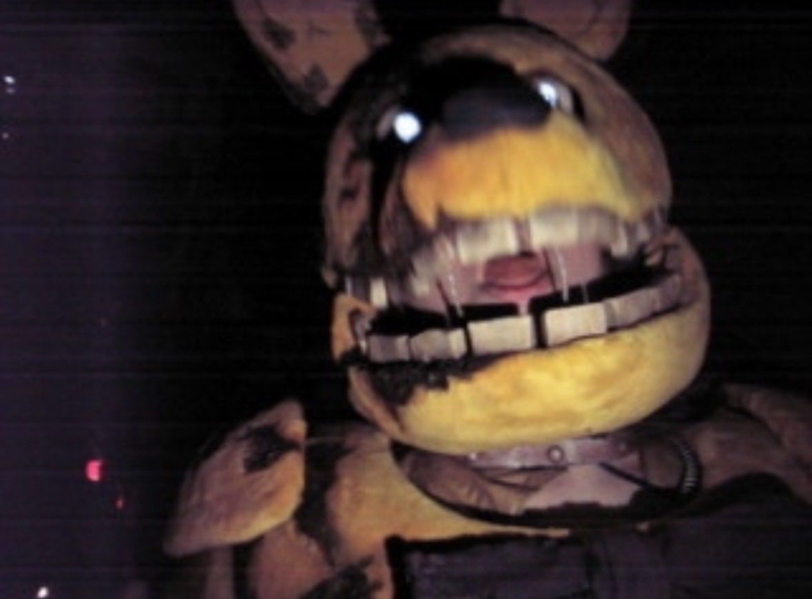 BirdStempakj's tweet photo. A few handpicked frames from the Halloween recordings, all are entirely unedited as of now. Apologies for the slowness getting files off the old digicams a bit of a chore but more soon as well as the full yellow rabbit video encounters soon!!!
#fnaf #fnaf2movie #hoaxcore https://t.co/xSEgi70ur6