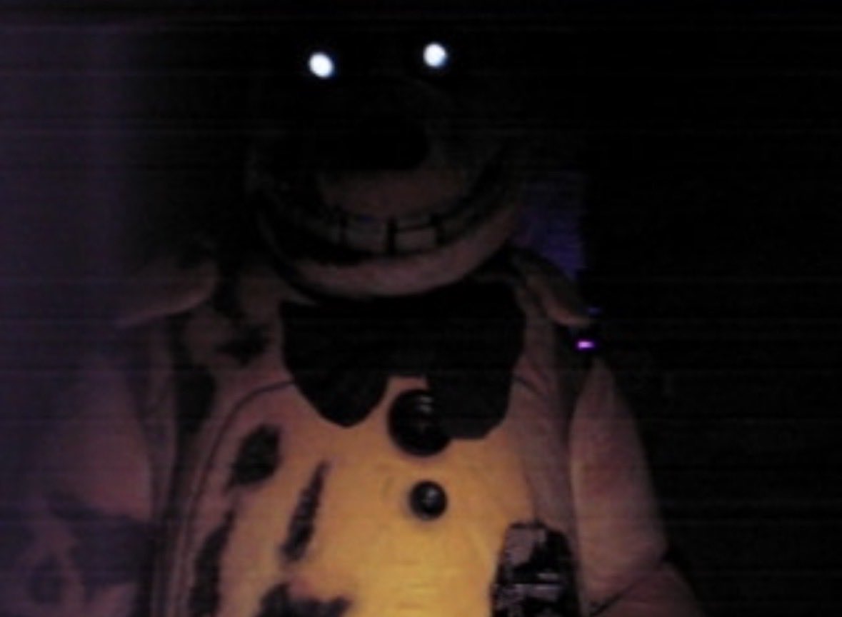 BirdStempakj's tweet photo. A few handpicked frames from the Halloween recordings, all are entirely unedited as of now. Apologies for the slowness getting files off the old digicams a bit of a chore but more soon as well as the full yellow rabbit video encounters soon!!!
#fnaf #fnaf2movie #hoaxcore https://t.co/xSEgi70ur6