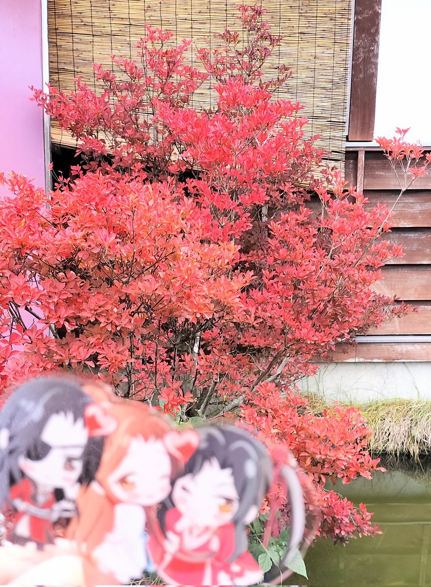 カズキ様25.5 NINJA ZX-25R SE/KRT EDITION（'20〜'22） GPスペック フル