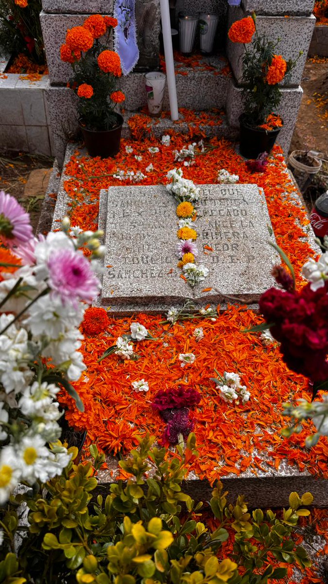 Primera vez que vengo a visitar a mi abuelito(Materno) que nunca pude conocer, me encantó el pueblo originario de mi mamá celebran mucho estás festividades aquí y está hermoso el lugar.
#DiaDeMuertos