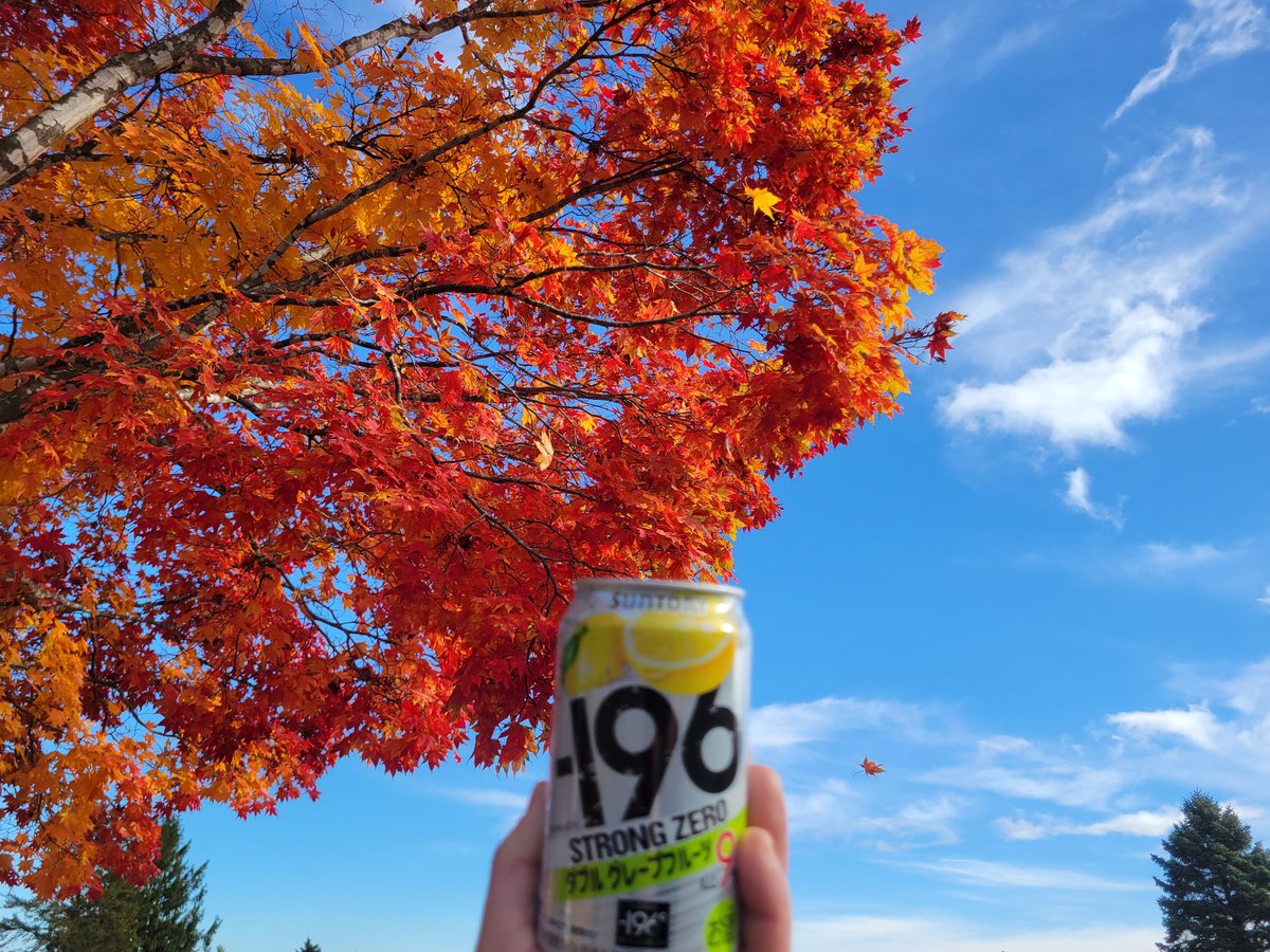 gonzzone's tweet photo. 紅葉🍁andストゼロの日 https://t.co/Y3kNdVKhqZ