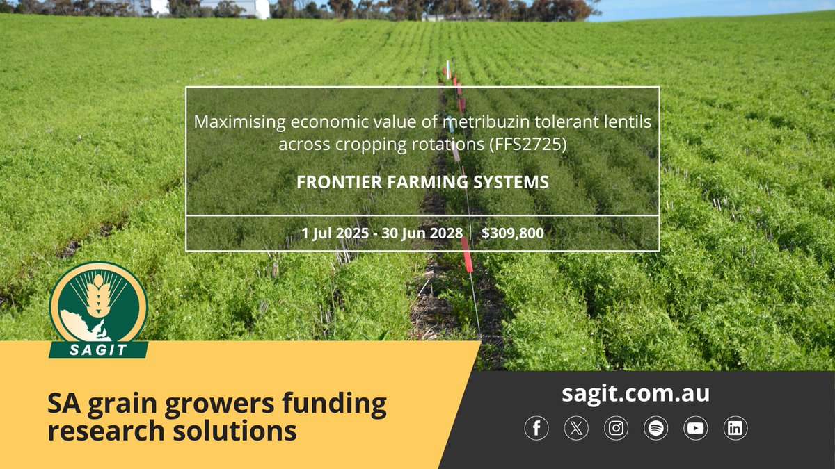 SAGrainTrust's tweet image. We&apos;re funding a new project, led by Frontier Farming Systems @JasonBrand , to evaluate the new metribuzin tolerance trait in lentils in the Mallee and Eyre Peninsula.

Learn more 👉bit.ly/4hYT82J

#SAGIT #FrontierFarmingSystems #lentils #herbicide #SAag