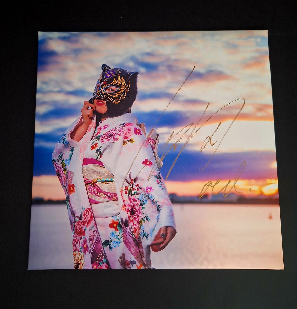 A <a href="/StarLight_Kid11/">スターダム💙スターライト・キッド🐯🤍</a> #STARDOM portrait #SLKDaily #SLK  (one of my favorites)