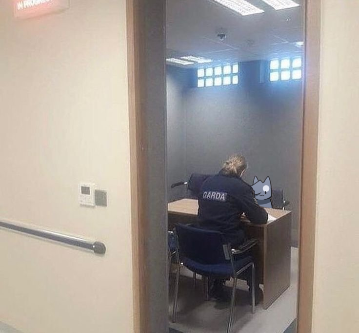 Yuun! 🌊🐱ONEESHI (@yuunkurosu) on Twitter photo 