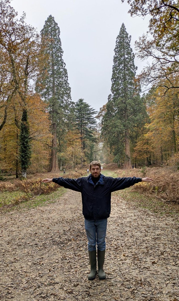 3kliksphilip's tweet image. Saw the Red Woods in California earlier this year, now this week I&apos;m off to see the tallest ones in England. I think they hold up pretty well (And they&apos;re MUCH easier to photograph)