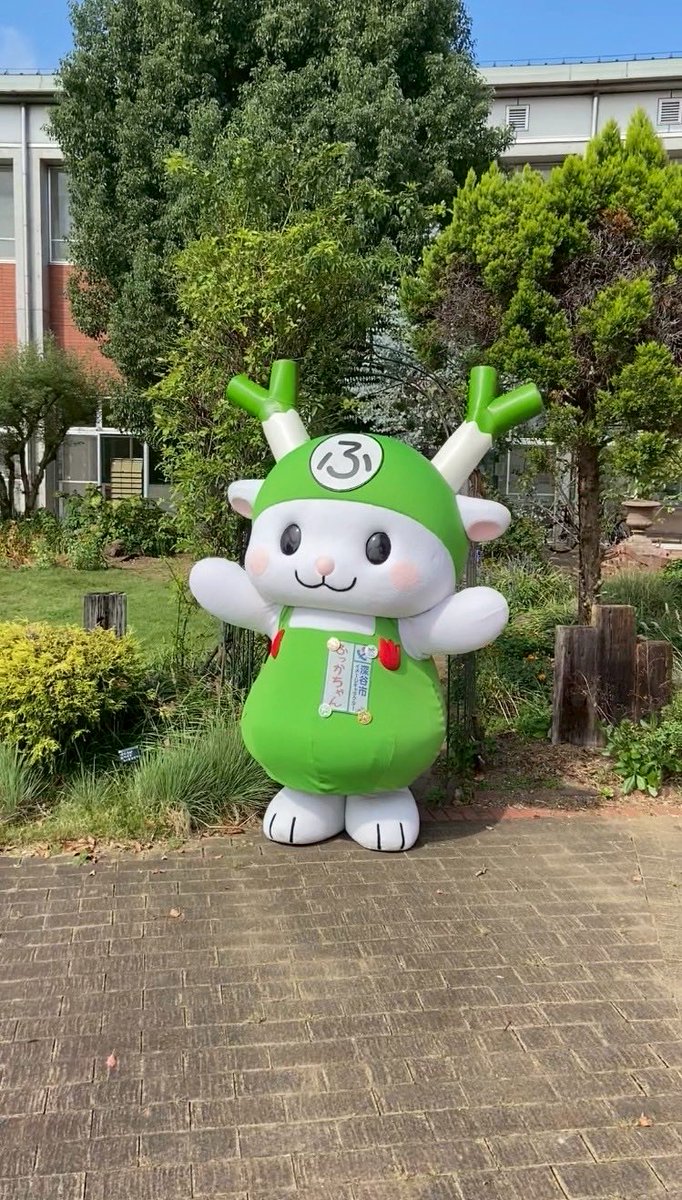 ふっかちゃんページです！2点セットアップ ふっかちゃん (@fukkachan) / Posts / X