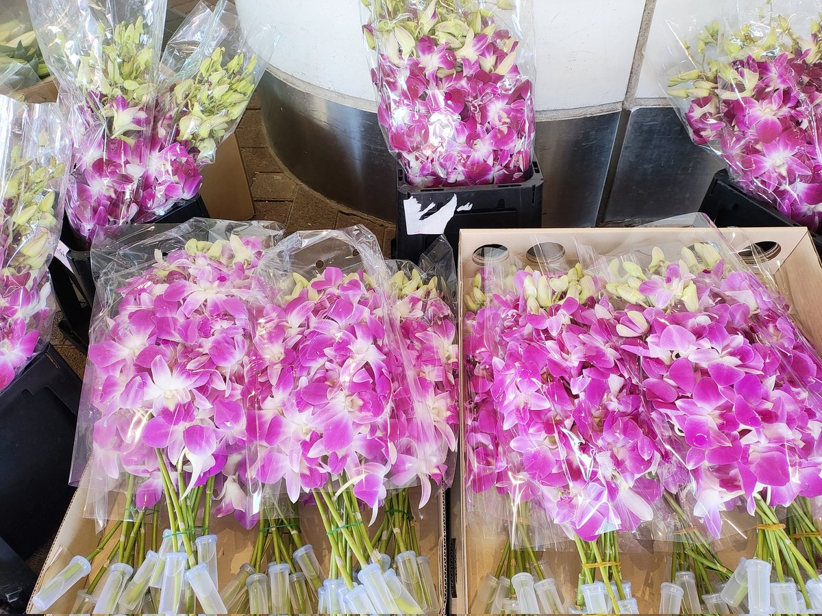 ワールドフラワー大和店 on X