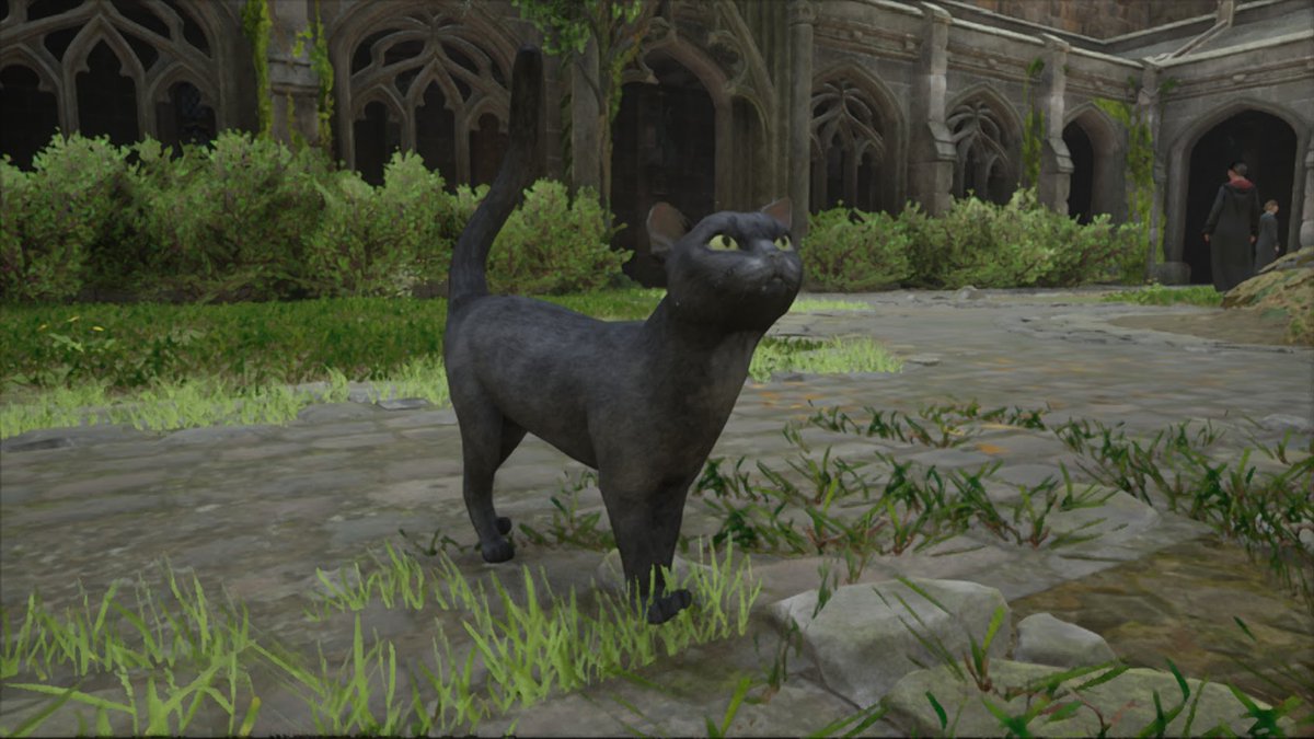 TheVortex794's tweet image. Some screenshots from my recent sessions on Hogwarts Legacy on my Steam Deck.