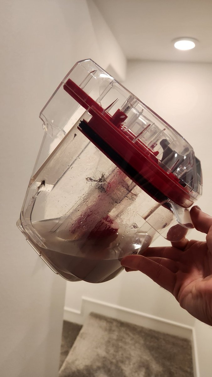 Bean has been cleaned 🙌