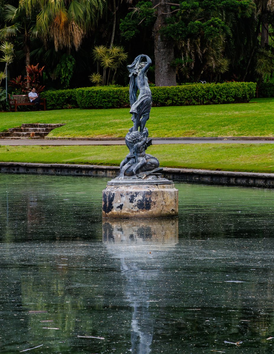 AmRealAsian's tweet image. Somewhere inside the Royal Botanical Gardens in the heart of Sydney
#somethingrandom #landscape #landscapephotography #botanicgarden #architecture
