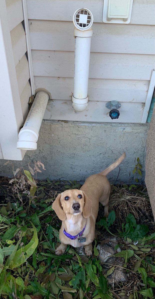 rmwoodbuffalo tweet media