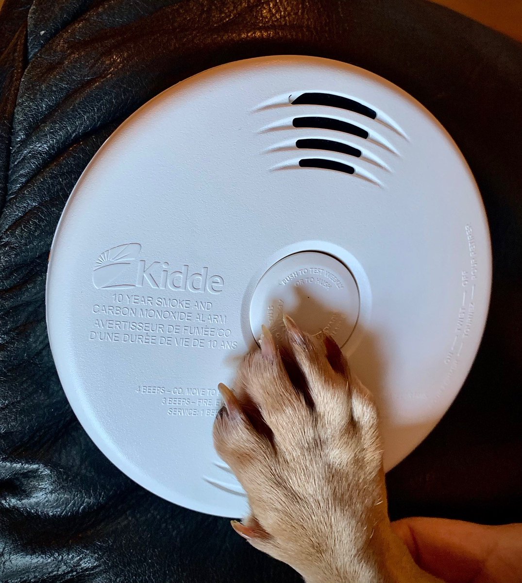 rmwoodbuffalo tweet media