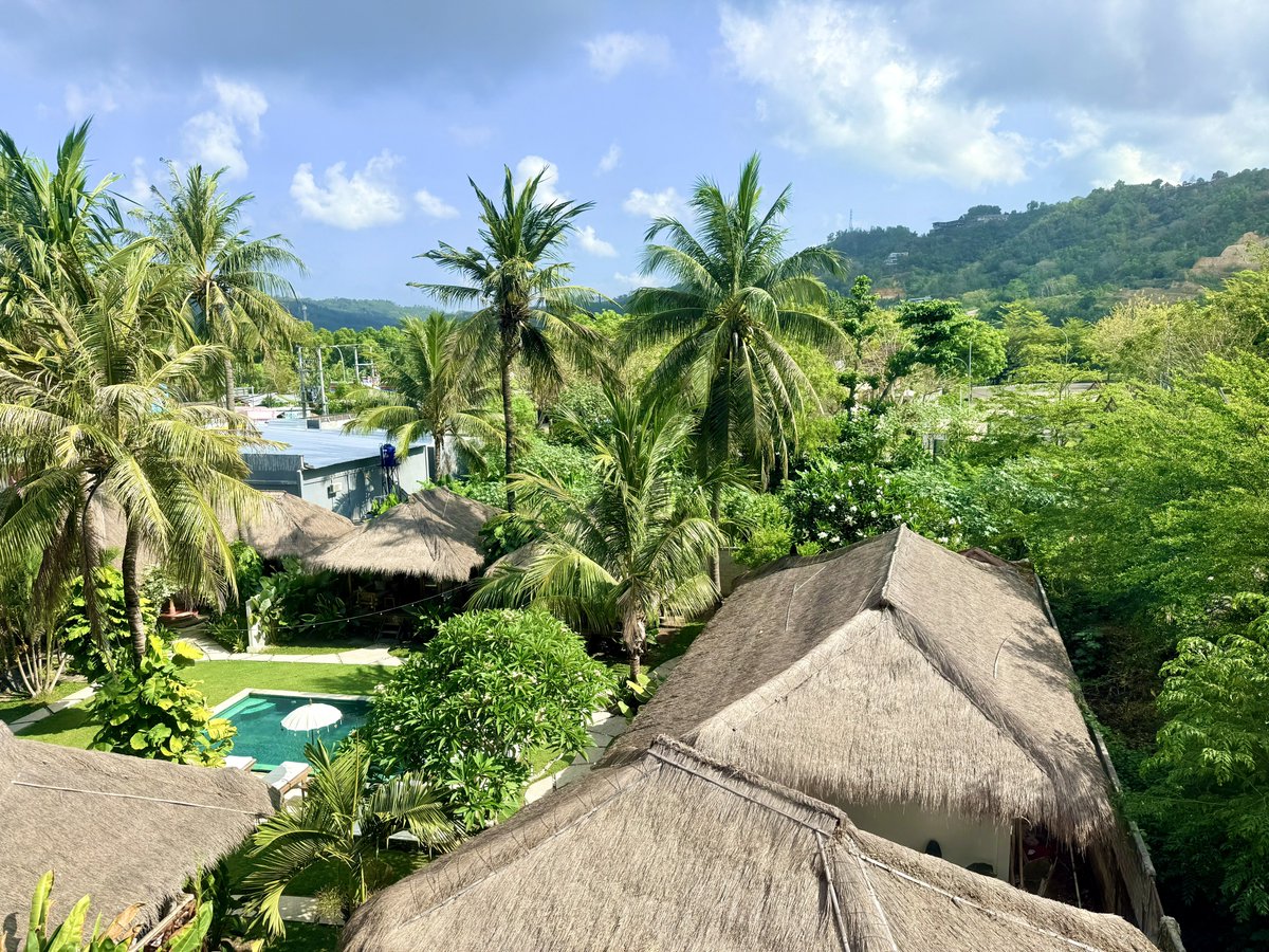 KenchanISGCPA's tweet image. おはようございます。

南国感のあるホテルの窓からの景色。
今日はリゾート開発現場の視察予定です。

今日もよろしくお願いします🏝️

#ロンボク島 #視察中 #沖縄離島の会計士 #企業公式が朝の挨拶を言い合う