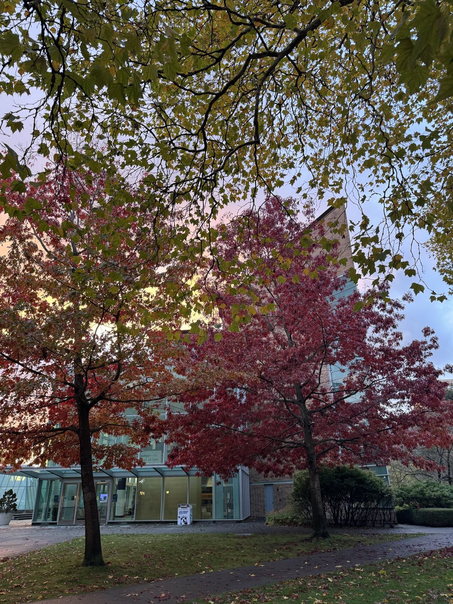 John Kim tweet media