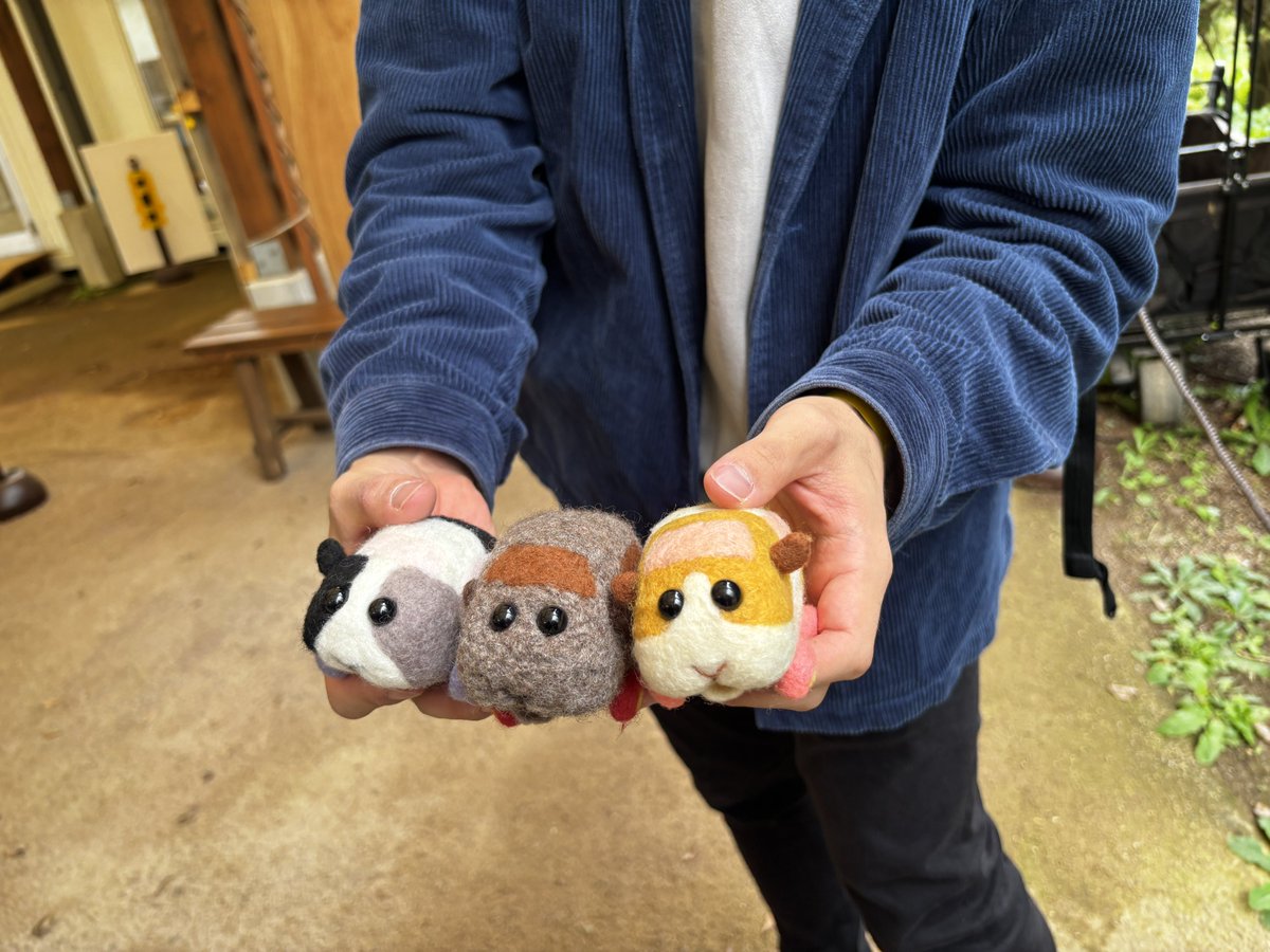 ぴんぽんぱんだ (@Cassini_Panda) / Posts / X