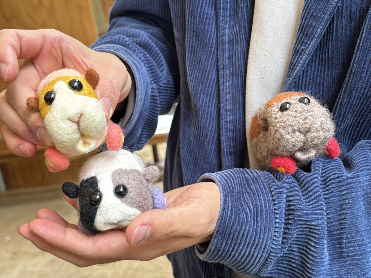 ぴんぽんぱんだ (@Cassini_Panda) / Posts / X