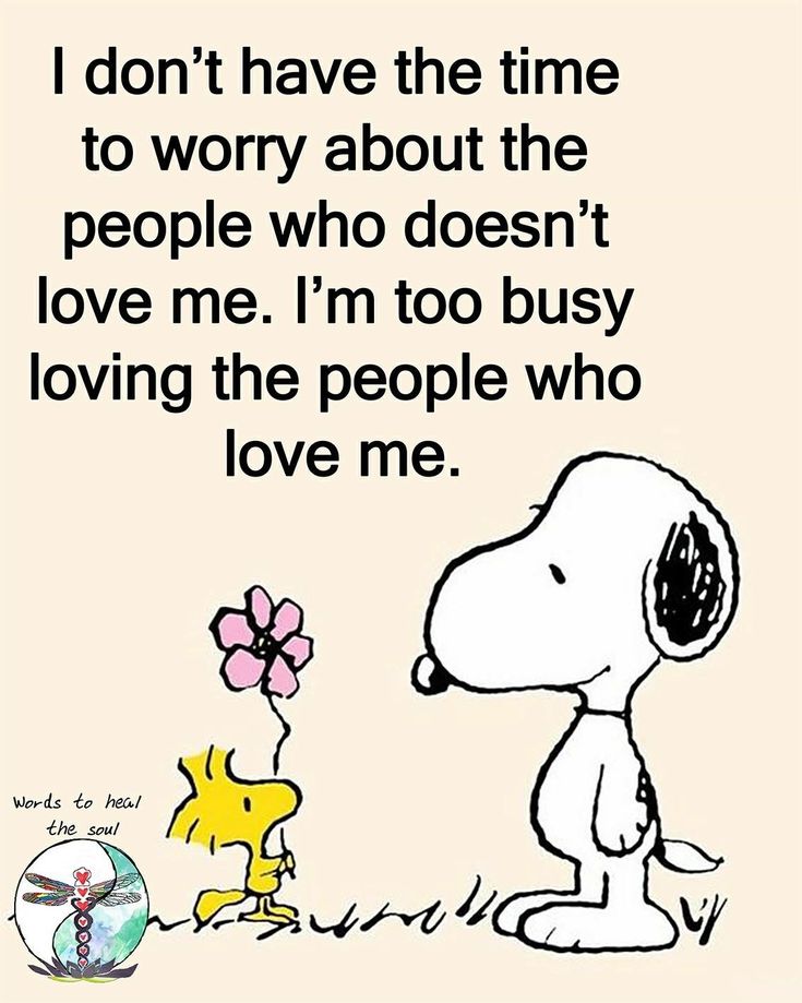 Doggo Diaries (@diaries_doggo1) on Twitter photo 