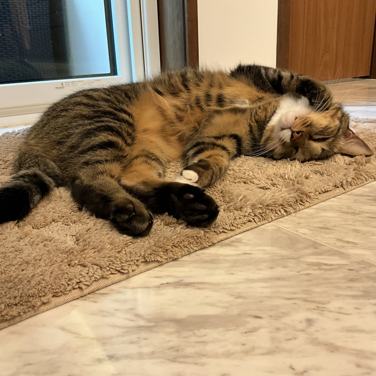 Ꮇ☆きらきらページ きらきら☆ on X