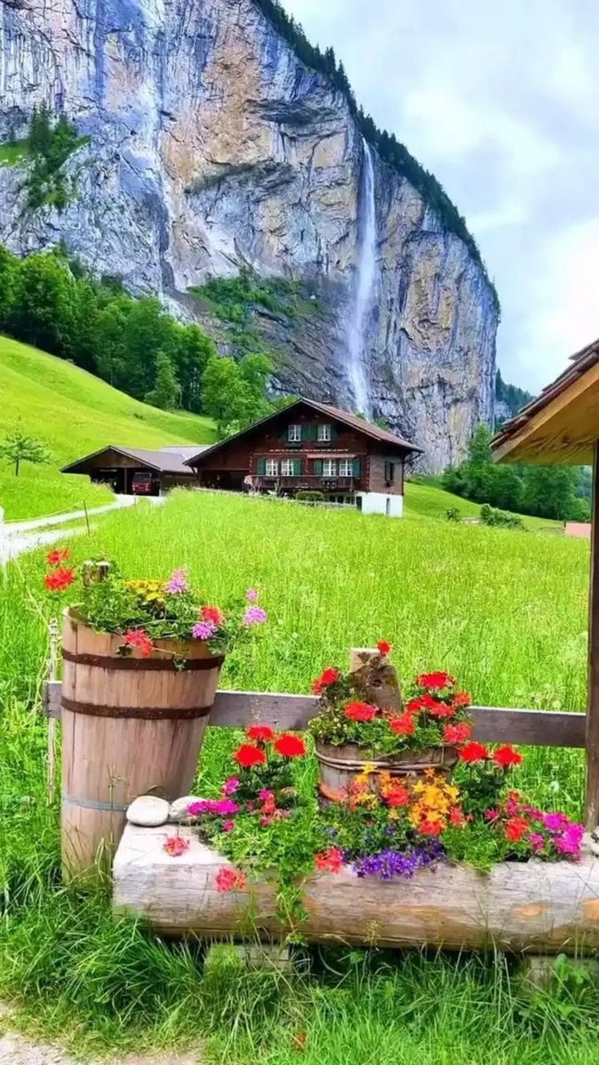 القلوب التي تعلّمت ألّا تتشبّث…
هي القلوب التي لا تُكسر بسهولة. 🍂

#صباح_الخير 
#صباح_الخير_والسعاده_للجميع