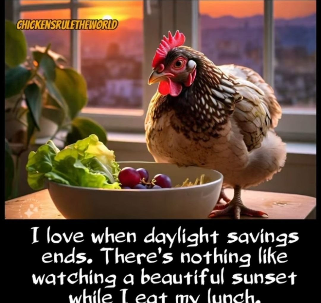 What happened to getting rid of #DaylightSavingsTime?