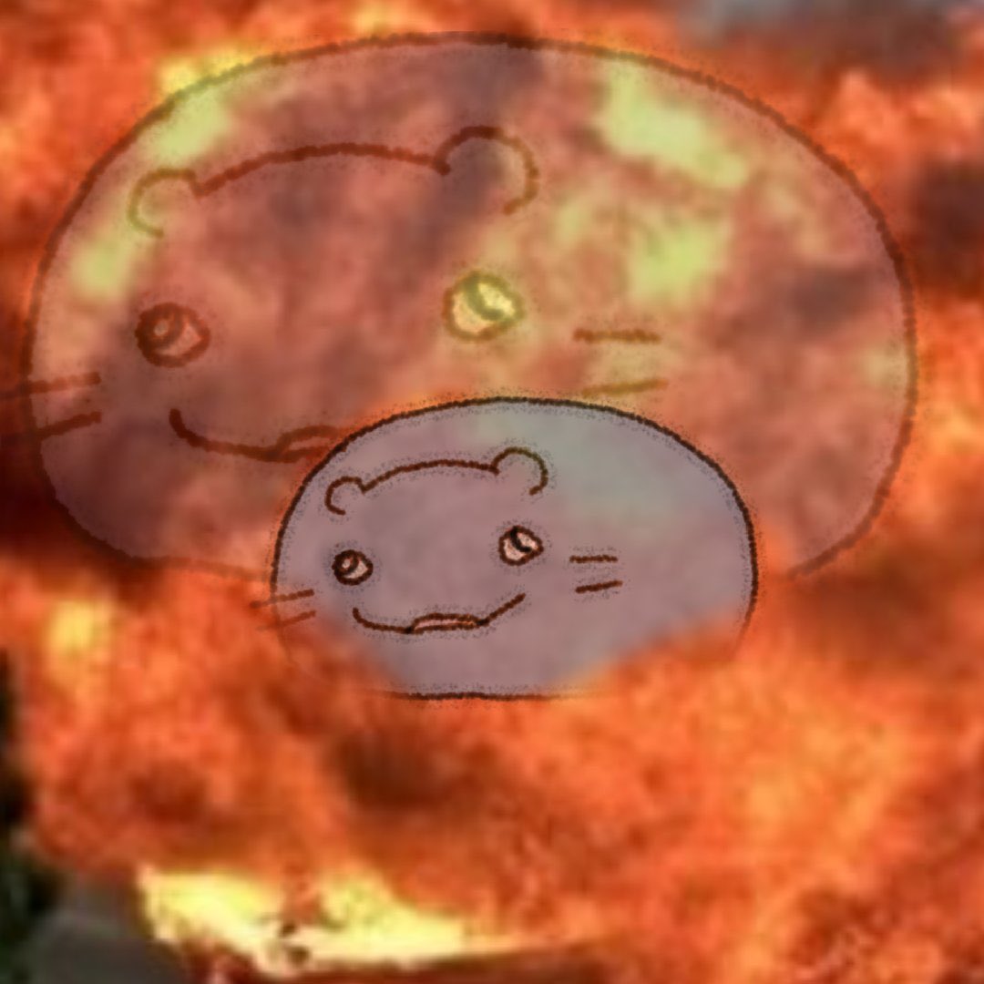 xxrain (@kittyx0811) on Twitter photo 