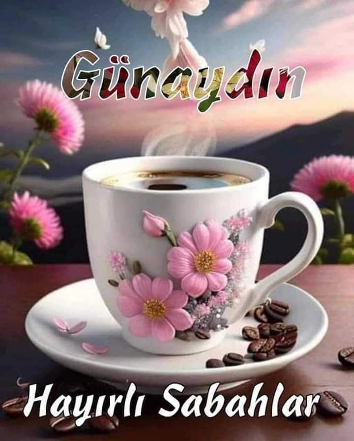 enver157744's tweet photo. @denizlicicek20 https://t.co/T58dLbu7yl