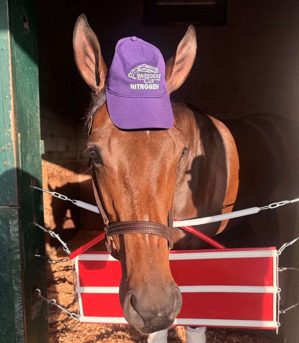 Samantha Bussanich tweet media