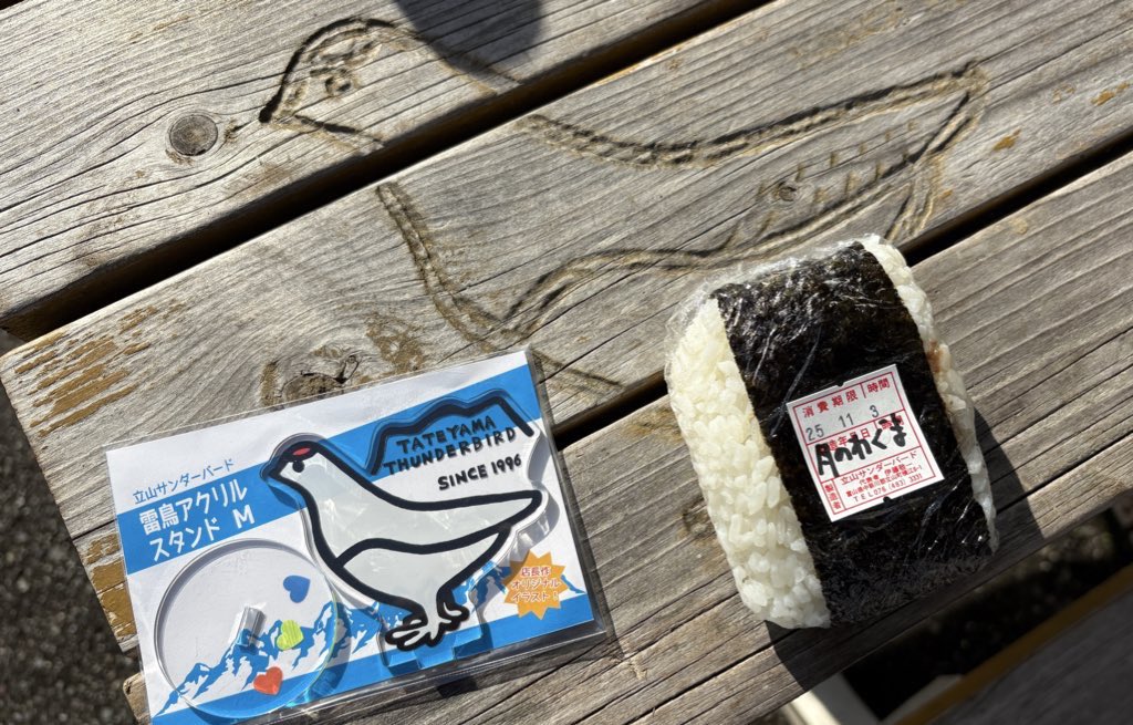 FLORA & FAUNA 自然のデザイン Gan-Dan on X