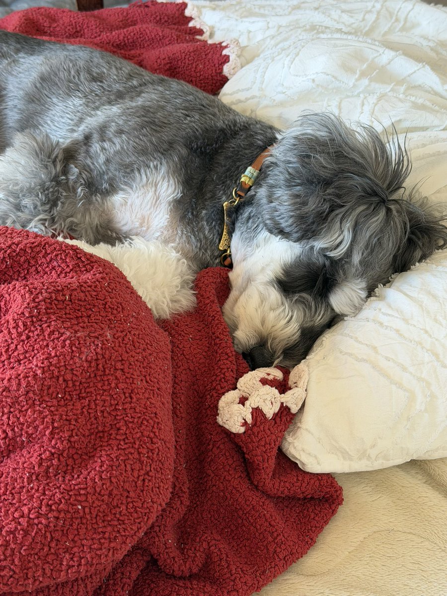 すごーく
よくねてる😍