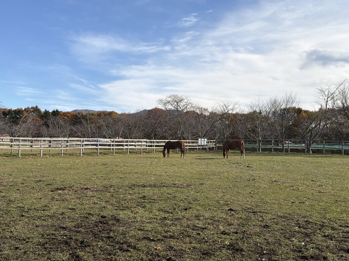 いもぎらい on X