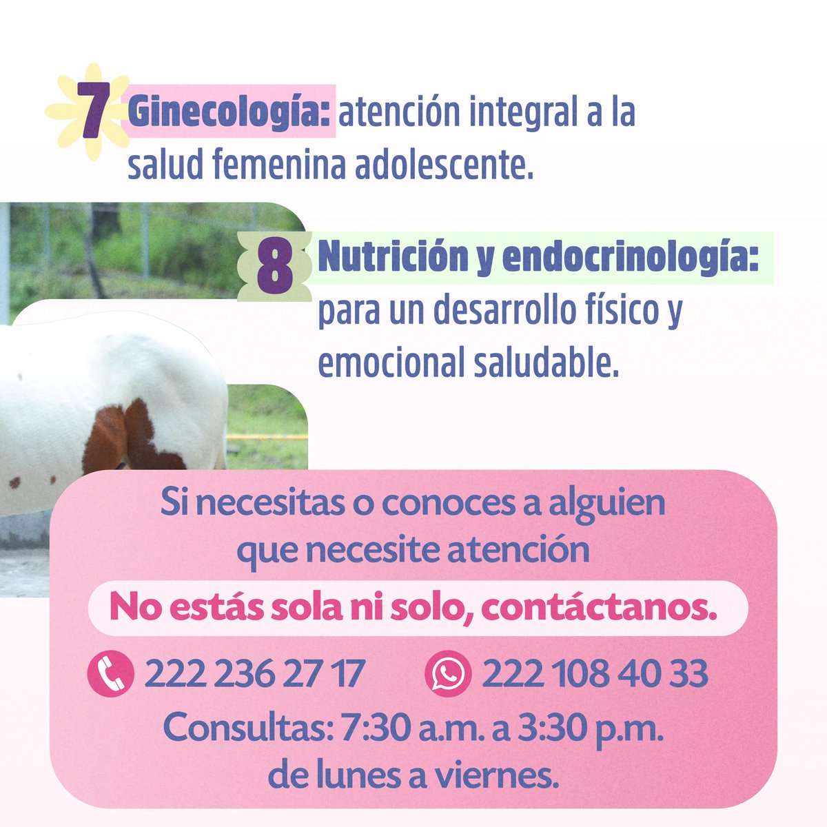 Te queremos ver feliz, te queremos ver estable y queremos que las familias vivan en paz y armonía.🧑‍🧑‍🧒‍🧒🤍

Amigas y amigos, les comparto los servicios con los que el CEPOSAMI, bajo el liderazgo de nuestra presidenta, la Dra. <a href="/Claudiashein/">Claudia Sheinbaum Pardo</a>, busca que se garantice la #Salud