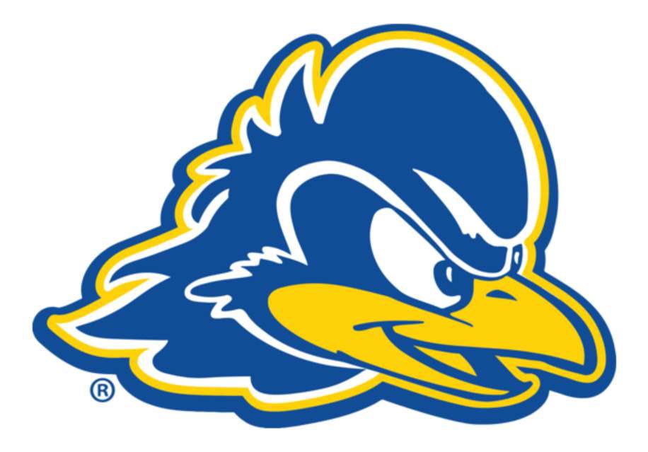 Gavin Fraim 4.5 ⭐️ tweet media