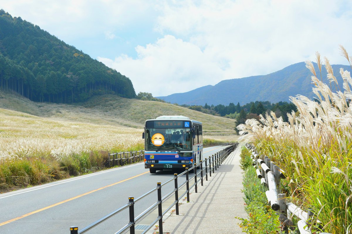 sanepan (@taizohsanekata) / Posts / X