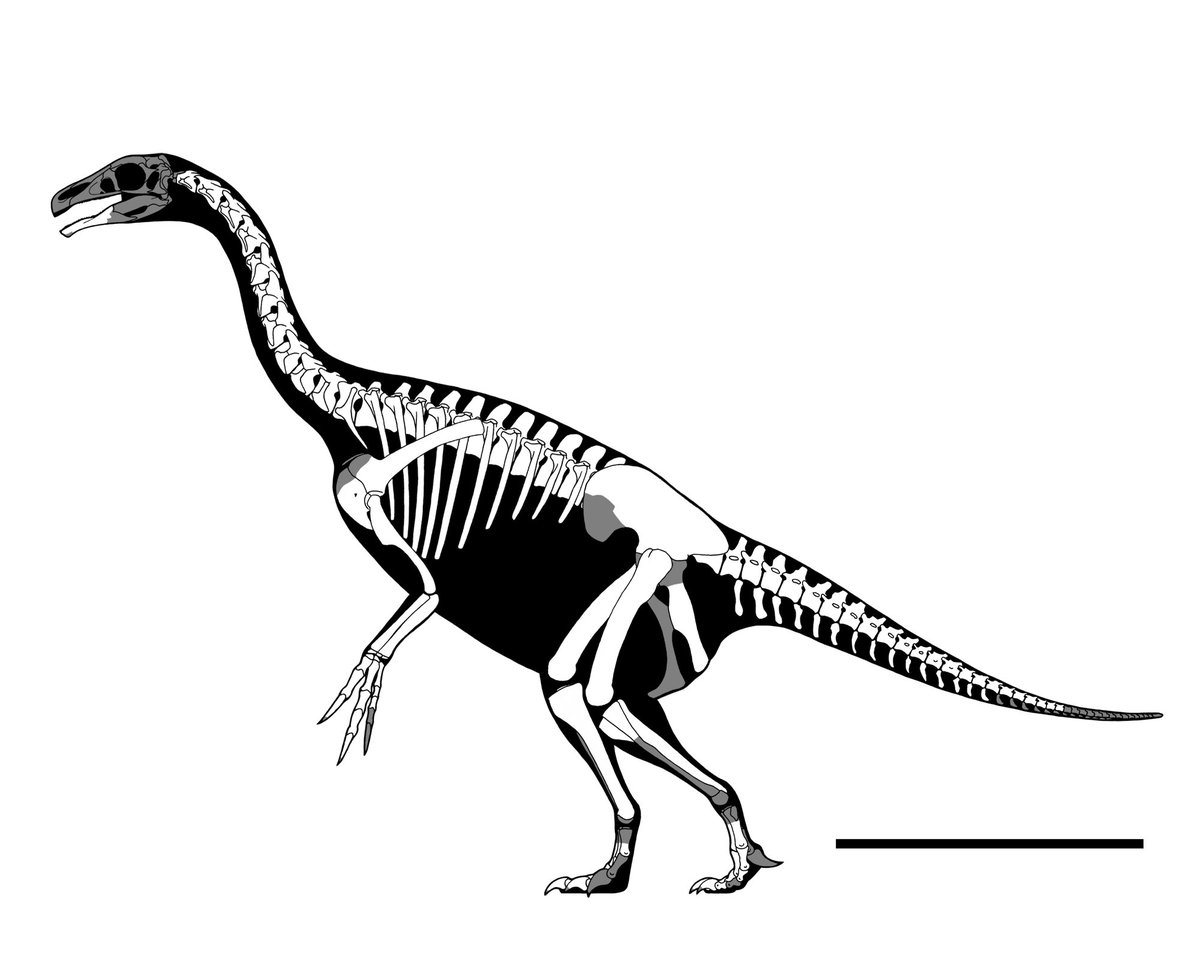 らえらぷす (@get_away_trike) on Twitter photo 