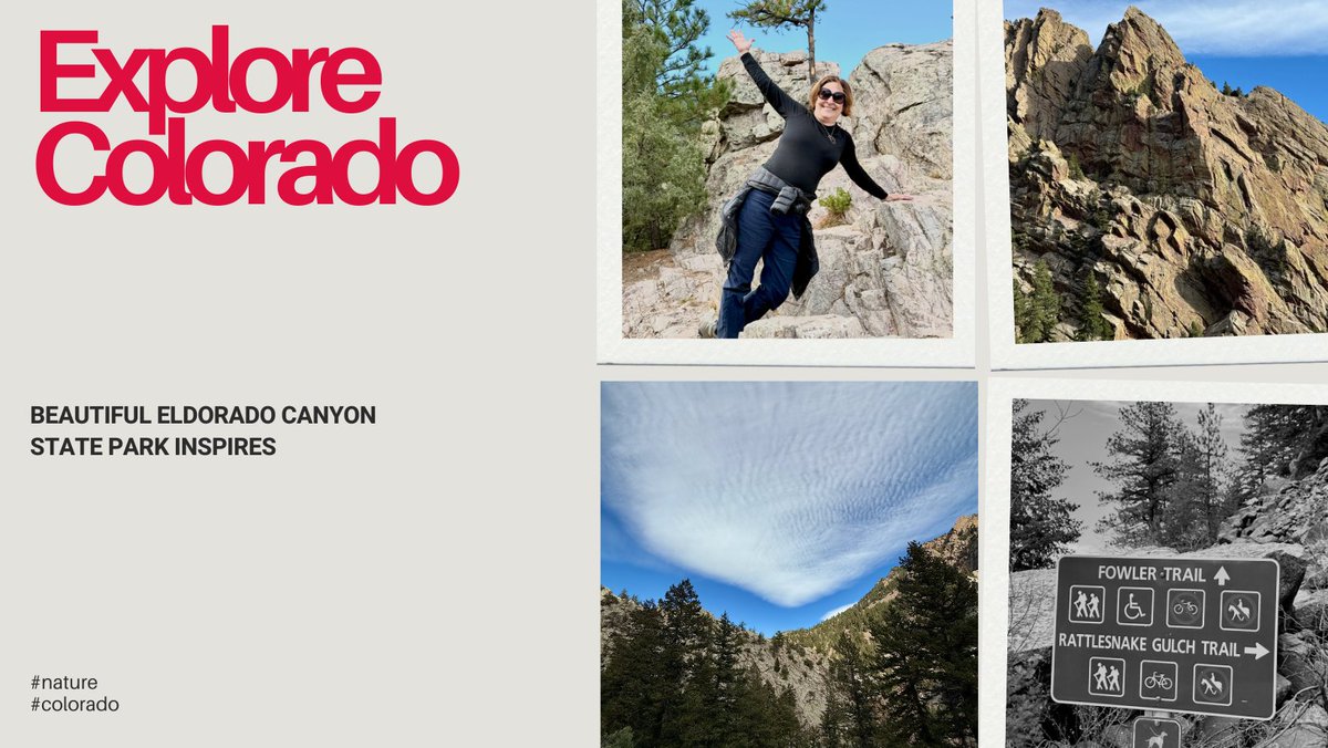 The Original Feed tweet media