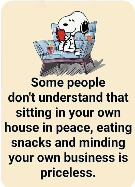 Bark & Love (@barklove2) on Twitter photo 