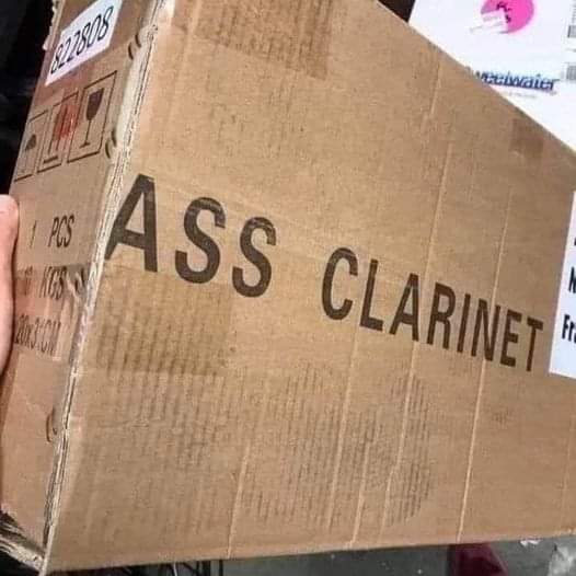 Temu has everything one's heart could desire, literally everything!