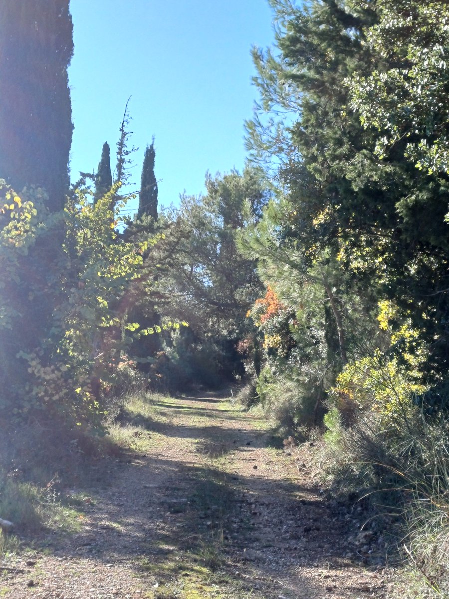 Καλημέρα, όλη μέρα! ☀️🌺