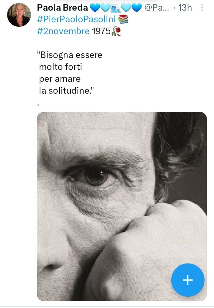 Quadrel1Cosetta's tweet image. 