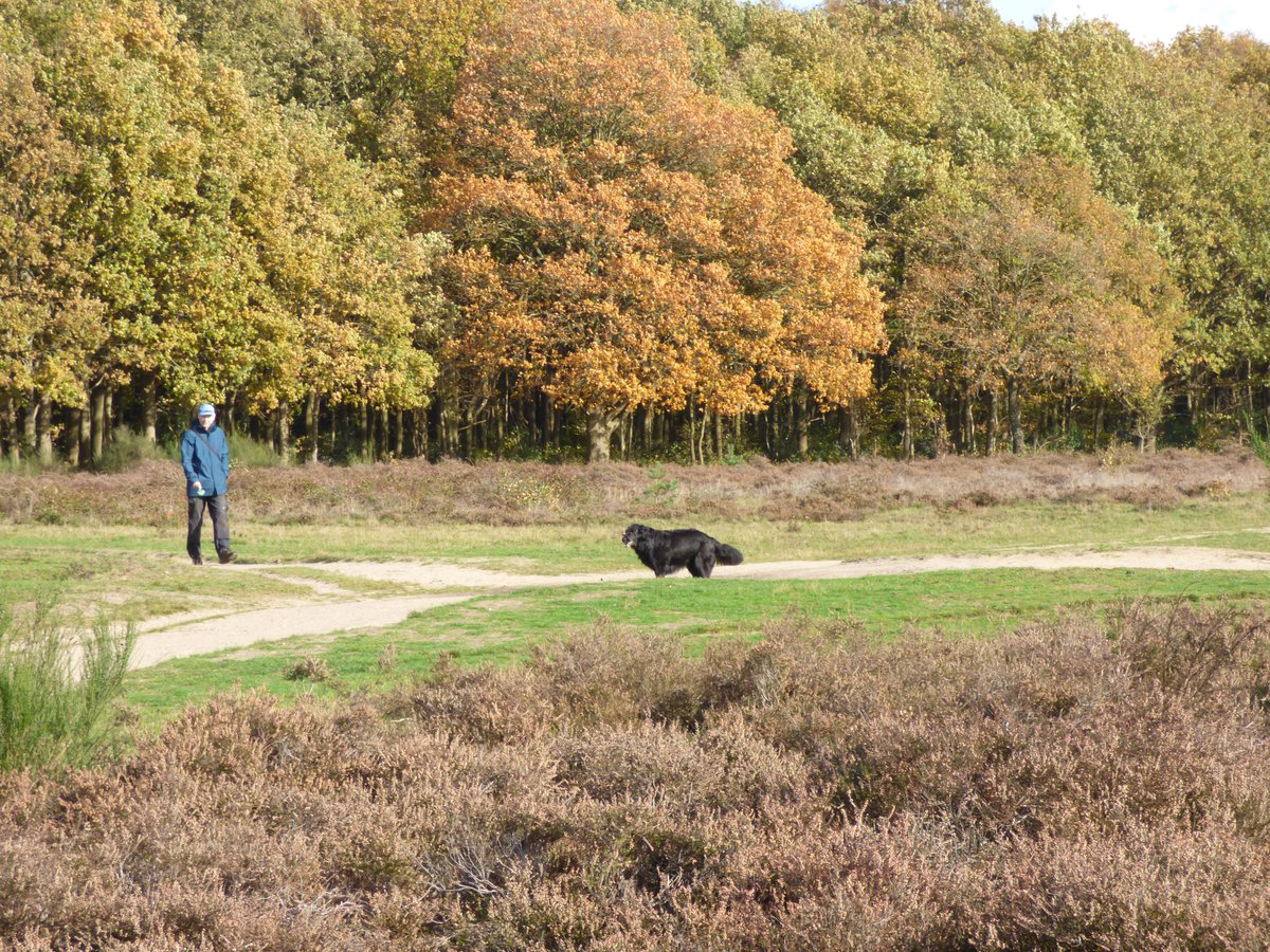 We hebben een week met zeer zacht weer voor de boeg. Heeft zo’n warme periode nog een voorspellende waarde met betrekking tot de komende winter? weerverteller.nl/verhalen/zegge… #herfst #herfst2025 #winter #zacht #temperaturen

Foto: Chris Meewis.