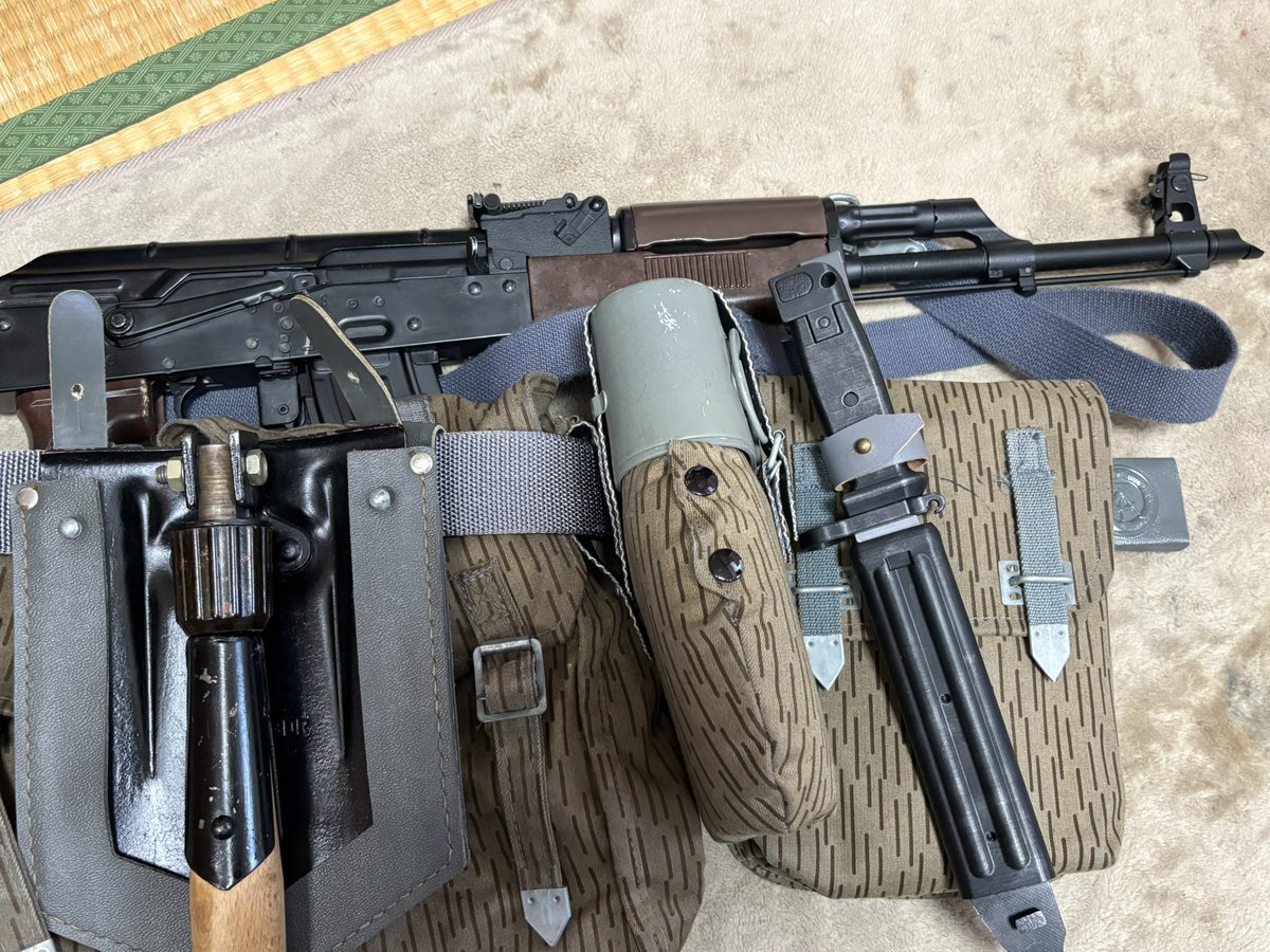 Ｗワイマールドイツ軍＊ウ\"ェアウルフ義勇軍メンバーピン（実物） Wワイマールドイツ軍＊ウ