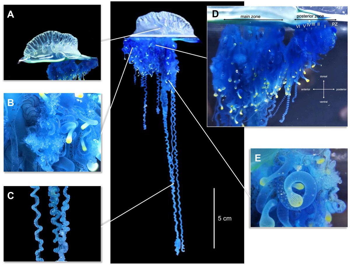 UTiCd (@UTiCd) / Posts / X