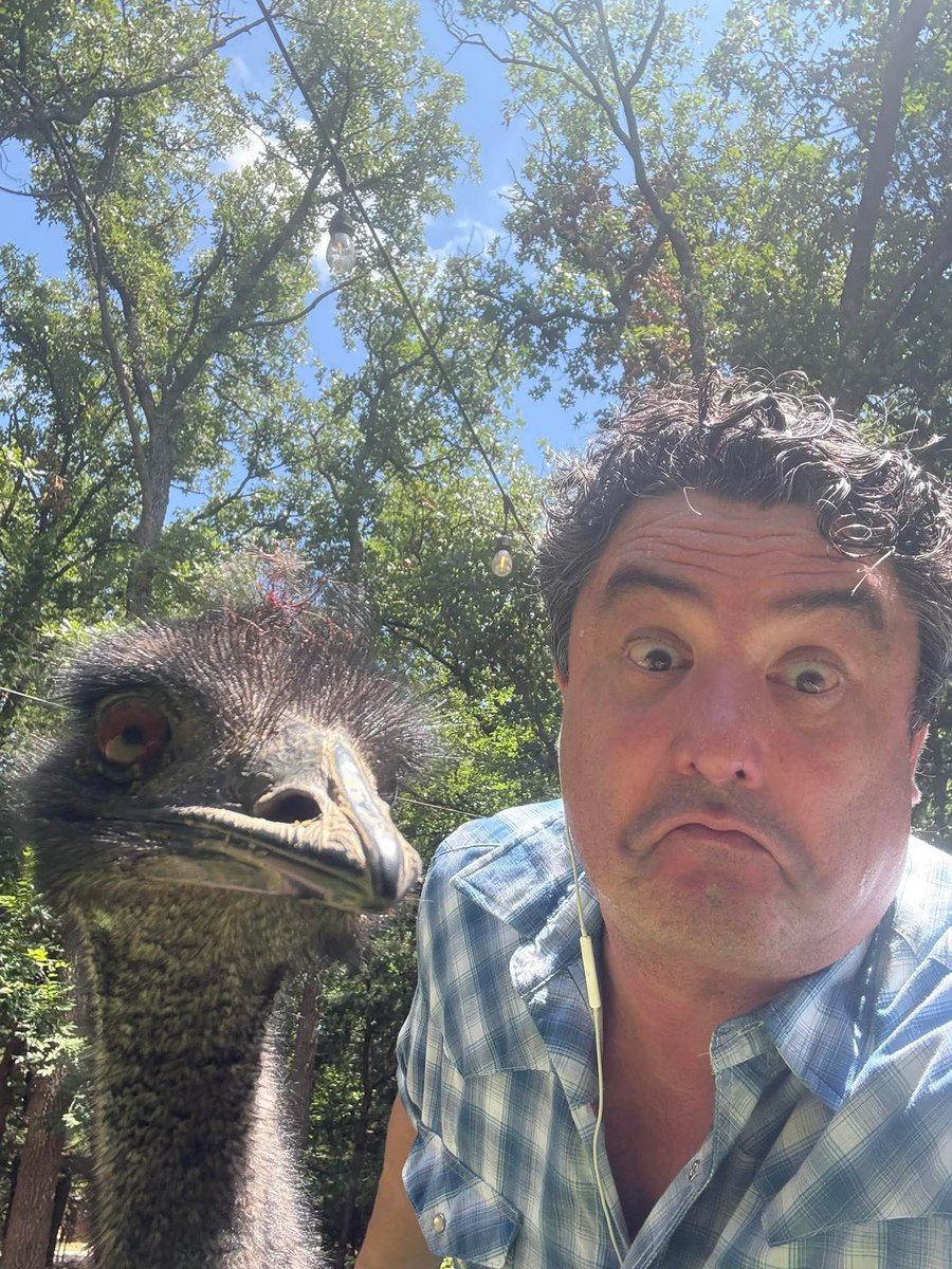 Shipwreck (@markthesnark2) on Twitter photo 