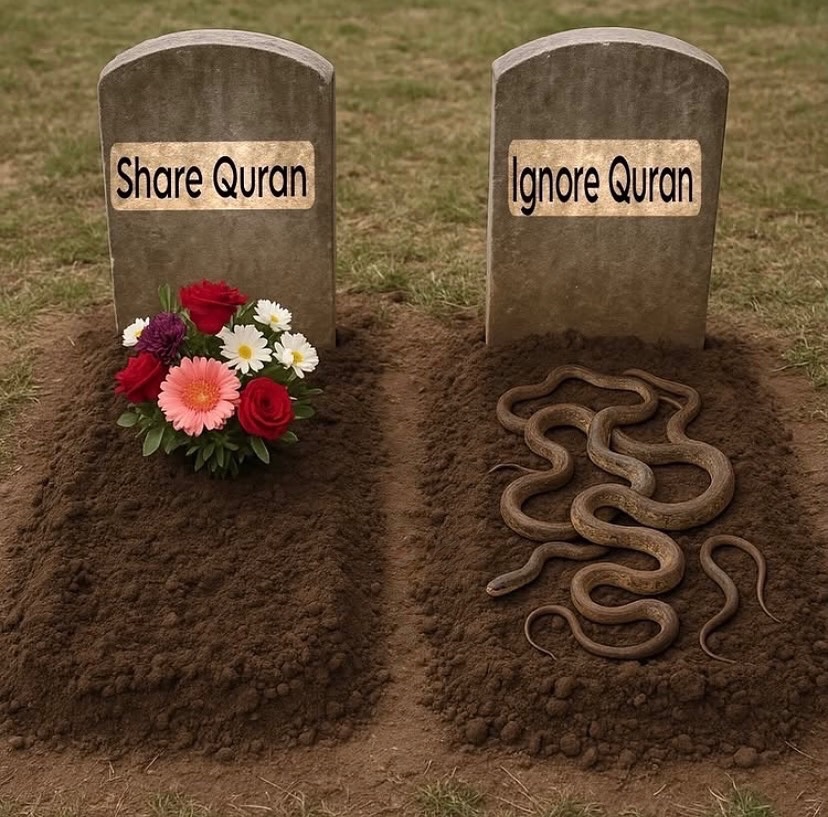 AllahGreatQuran's tweet image. 📌