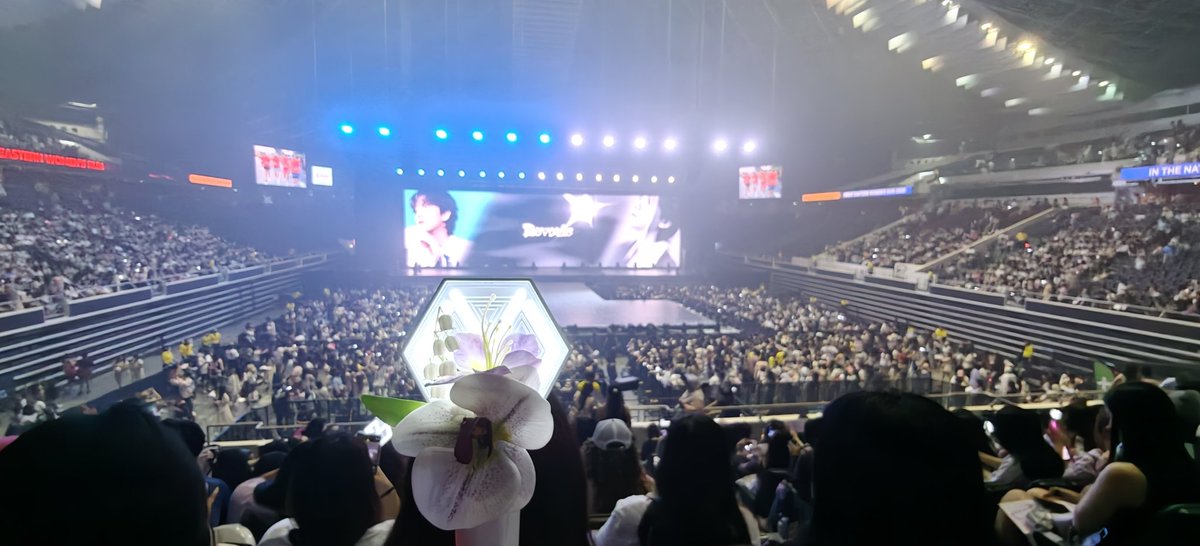 💟𝓡𝓮𝓿𝓮𝓻𝓲𝓮 '.ㅅ' tweet media