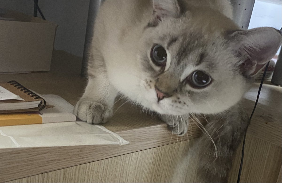 İşe bir sürprizle başladım. 😻