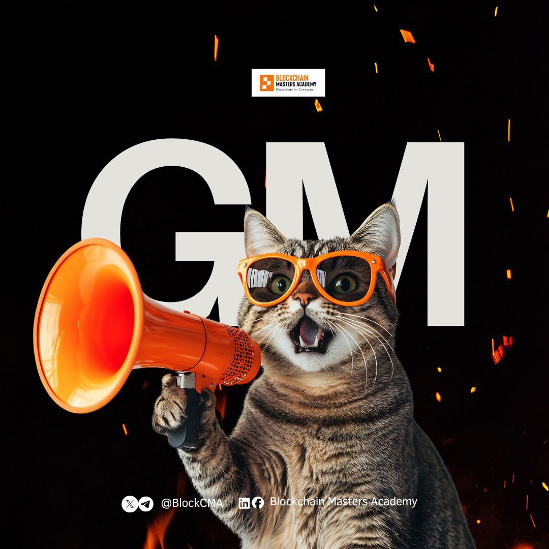 GM if you will say it back  😎