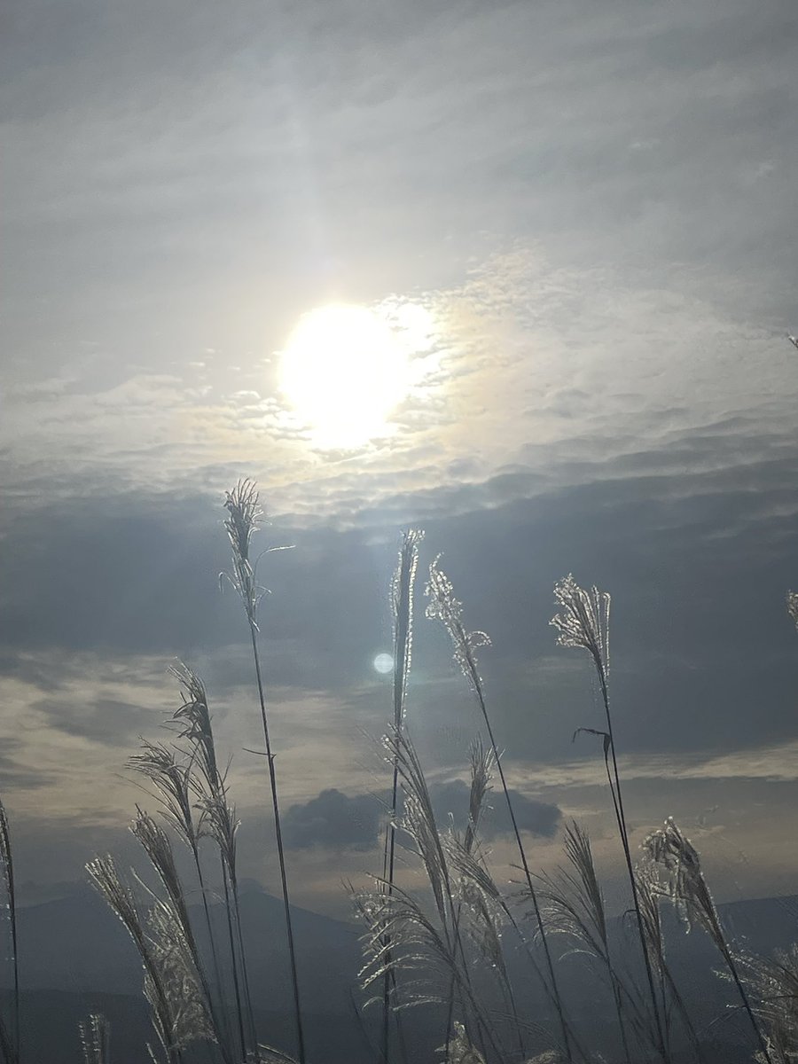 sabu_250's tweet image. 電車内で肘打ちをしてきた
虚言ババアによる
痴漢の冤罪被害を受け
心にダメージが残った

気持ちを持ち直そうと
ハイキングに行き
気分が少し晴れた

帰り道、しばらく会っていない
中学の同級生から数年ぶりに電話が来た

「久しぶり！変な話聞いたんだけど
君痴漢したの？」

ほら、こうなるじゃん